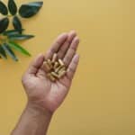 Le guide des plantes adaptogènes (Ashwagandha, Rhodiola) pour combattre le stress