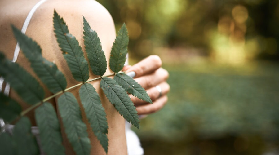 Naturopathie : les 3 techniques de base pour retrouver sa vitalité